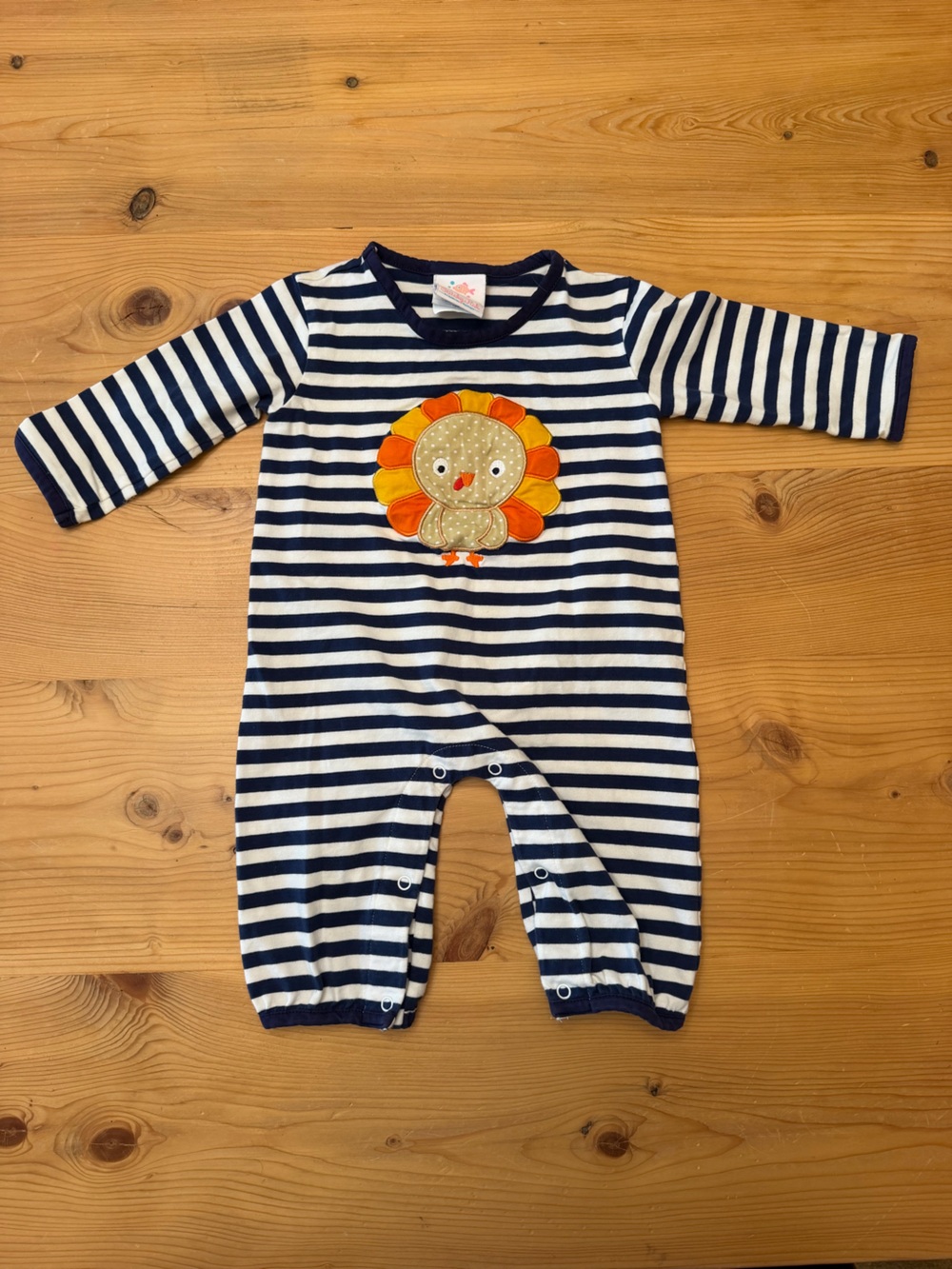 Thanksgiving Baby One Piece